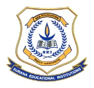 Partner school logo